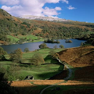 Rydal Water, Lake District National Park, Cumbria, England, United Kingdom, Europe
