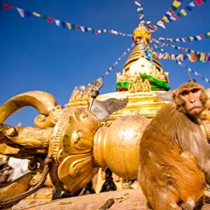 Sacred Monkey Temple (Swayambhunath Temple), UNESCO World Heritage Site, Kathmandu