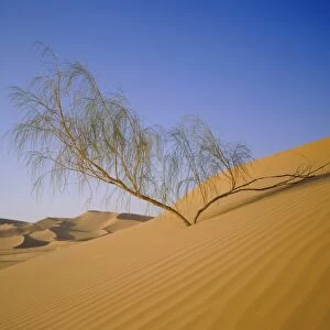 Sahara Desert, Algeria, North Africa, Africa