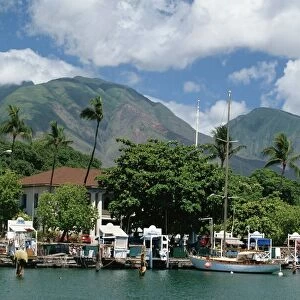 Sailing boats in the harbour of Lahaina