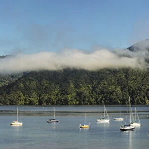 Sailing boats at Ngakuta Bay, Marlborough Sounds, Picton, South Island, New Zealand