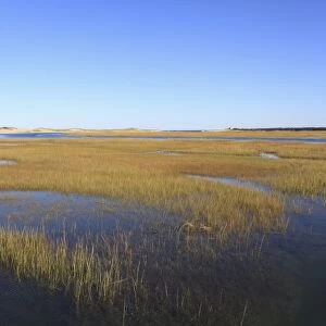 Salt Marsh, Sandwich, Cape Cod, Massachusetts, New England, United States of America, North America