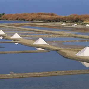 Salt pans in marshes, Ile de Re (Island of Re), Poitou Charentes, France, Europe