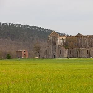 San Galgano Abbey ruins in Chiusdino, Siena, Tuscany, Italy, Europe