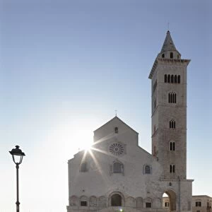 San Nicola Pellegrino cathedral, Piazza del Duomo, Trani, Le Murge, Barletta-Andria-Trani district