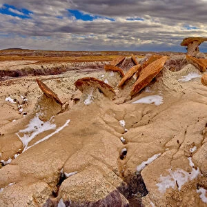Sand Castle formations on the edge of the Red Basin in Petrified Forest National Park