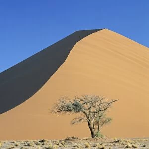 Sand dune near Sesriem, Namib Naukluft Park, Namibia, Africa