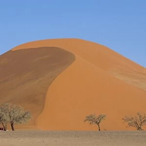 Sand dune, Sossusvlei