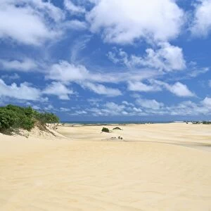 Sand dunes, Pitangui, Natal, Rio Grande do Norte state, Brazil, South America