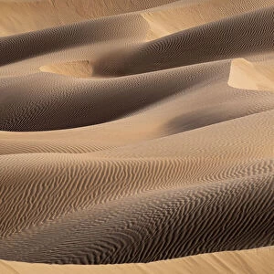 Sand dunes detail in the Rub al Khali desert, Oman, Middle East