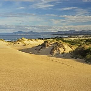 Sand dunes, St. Helens Conservation Area, St. Helens, Tasmania, Australia, Pacific