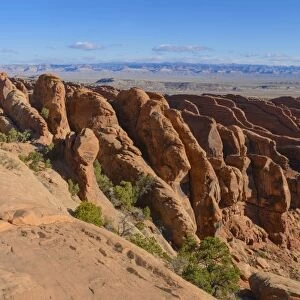 Sandstone Fins, rock formations, Devils Garden, Arches National Park, Utah, United States of America, North America