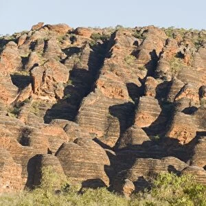 Sandstone hills in The Domes area of Purnululu National Park (Bungle Bungle), UNESCO World Heritage Site, Western Australia, Australia, Pacific
