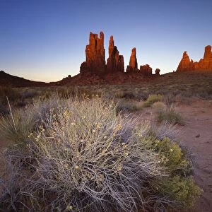 Sandstone pillars bathed in golden evening light, Monument Valley Navajo Tribal Park