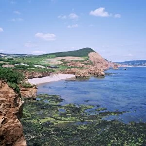 Sandstone stacks and cliffs, Ladram Bay, Devon, England, United Kingdom, Europe