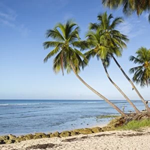 Savannah Beach, Bridgetown, Christ Church, Barbados, West Indies, Caribbean, Central