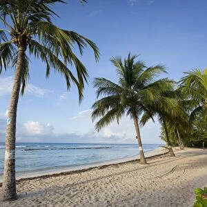 Savannah Beach, Savannah, Bridgetown, Christ Church, Barbados, West Indies, Caribbean