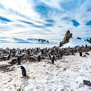 Scenic view of Chin Strap Penguins and glaciers in Antartica