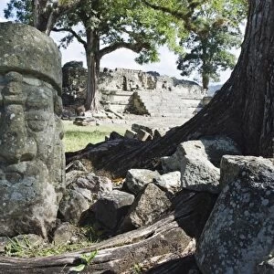Sculpted head stone at Mayan archeological site, Copan Ruins, UNESCO World Heritage Site