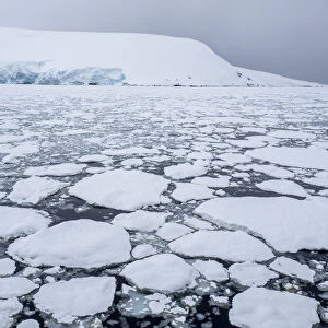 Sea ice forming as the temperature drops near Pleneau Island, Antarctica, Polar Regions