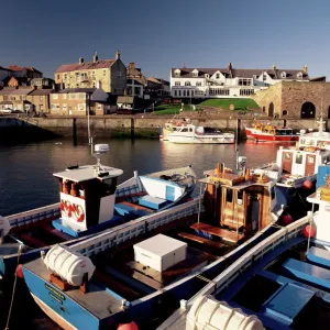 Seahouses, Northumberland, England, United Kingdom, Europe