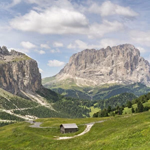 Sella group on the left and Langkofel on the right, shot from Gardena Pass in summer