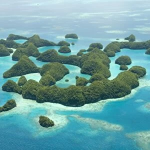Seventy Islands (Ngerukewid Islands Wildlife Preserve), forest-covered limestone rock