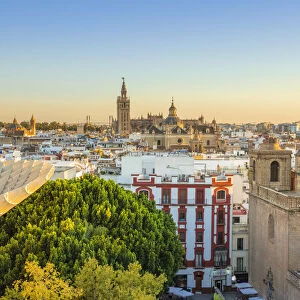 Seville skyline of Cathedral and city rooftops from the Metropol Parasol, Seville