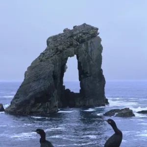 Shags and Gaada Stack, a natural arch 45 m high, old red sandstone, Foula