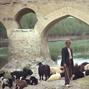 Shepherd, Shahrestan Bridge