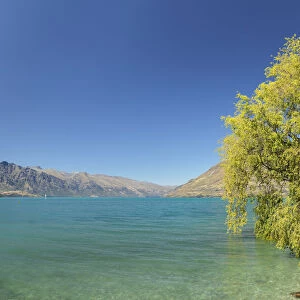 At the shore of Lake Wakatipu, Queenstown, Otago, South Island, New Zealand, Pacific