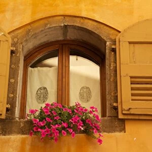 Shuttered window and flowers, Piazza Mercato, Belluno, Province of Belluno, Veneto, Italy, Europe