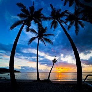 Silhouette of palm trees at sunset, Nippah Beach, Lombok, Indonesia, Southeast Asia, Asia