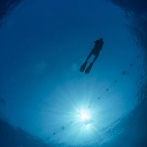 Silhouette of one scuba diver and sunball underwater, fish eye view, Egypt, North Africa, Africa