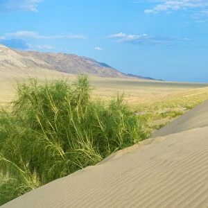 Singing Dunes, Altyn-Emel National Park, Almaty region, Kazakhstan, Central Asia, Asia