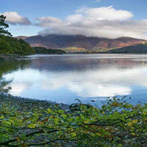Skiddaw and Blencathra fells from Borrowdale, Derwent Water, Lake District National Park