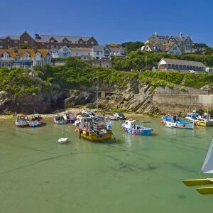 Small fishing boats and a catamaran at low tide, Newquay harbour, Newquay