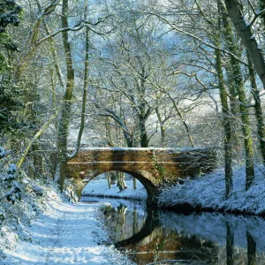 Snow on the Basingstoke Canal, Staceys bridge and towpath, Winchfield