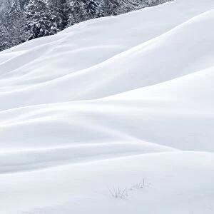 Snow dunes, Switzerland, Europe