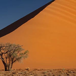 Sossusvlei National Park, sunset at Dune along the main highway to Deadvlei, Namibia