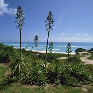 South coast, Bermuda, Central America, mid-Atlantic