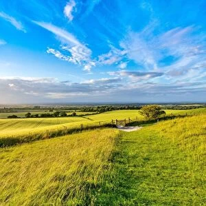The South Downs National Park on a summer evening, near Wilmington, East Sussex, England, United Kingdom, Europe