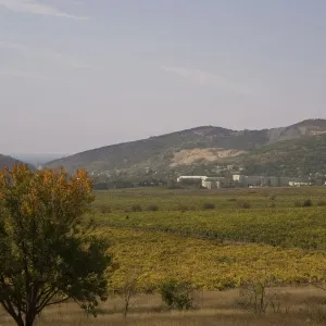 South Valley, Balaclava, site of 1854 battle, now vineyards, Crimea, Ukraine, Europe