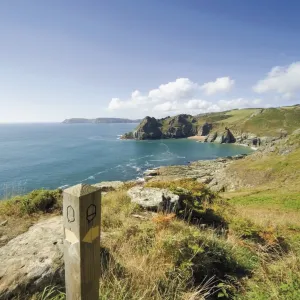 South West Devon coastal footpath approaching Gammon Head, Prawle Point