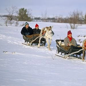 Southern Lapp man with reindeer sledge