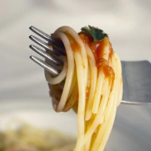 Spaghetti with tomato sauce, Lombardy, Italy, Europe