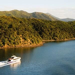 Speed boat in Queen Charlotte Sound, Picton, Marlborough Region, South Island, New Zealand, Pacific