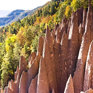 Spiked rocks of the earth pyramids in autumn, Longomoso, Renon (Ritten), Bolzano