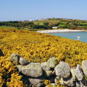 St Agnus, Isles of Scilly, England, UK