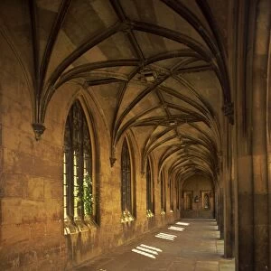 St. Johns College, Cambridge, Cambridgeshire, England, United Kingdom, Europe